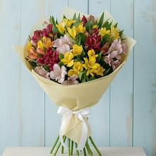 Букет цветов из:  Альстромерии в Левошево
