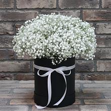 Цветочная композиция из Гипсофила в шляпной коробке #REPLACE_PRED# Левошево