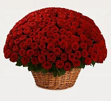 Премиум букет из: Розы #REPLACE_PRED# Левошево