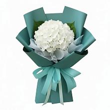 Букет цветов из:  Гортензия в Левошево
